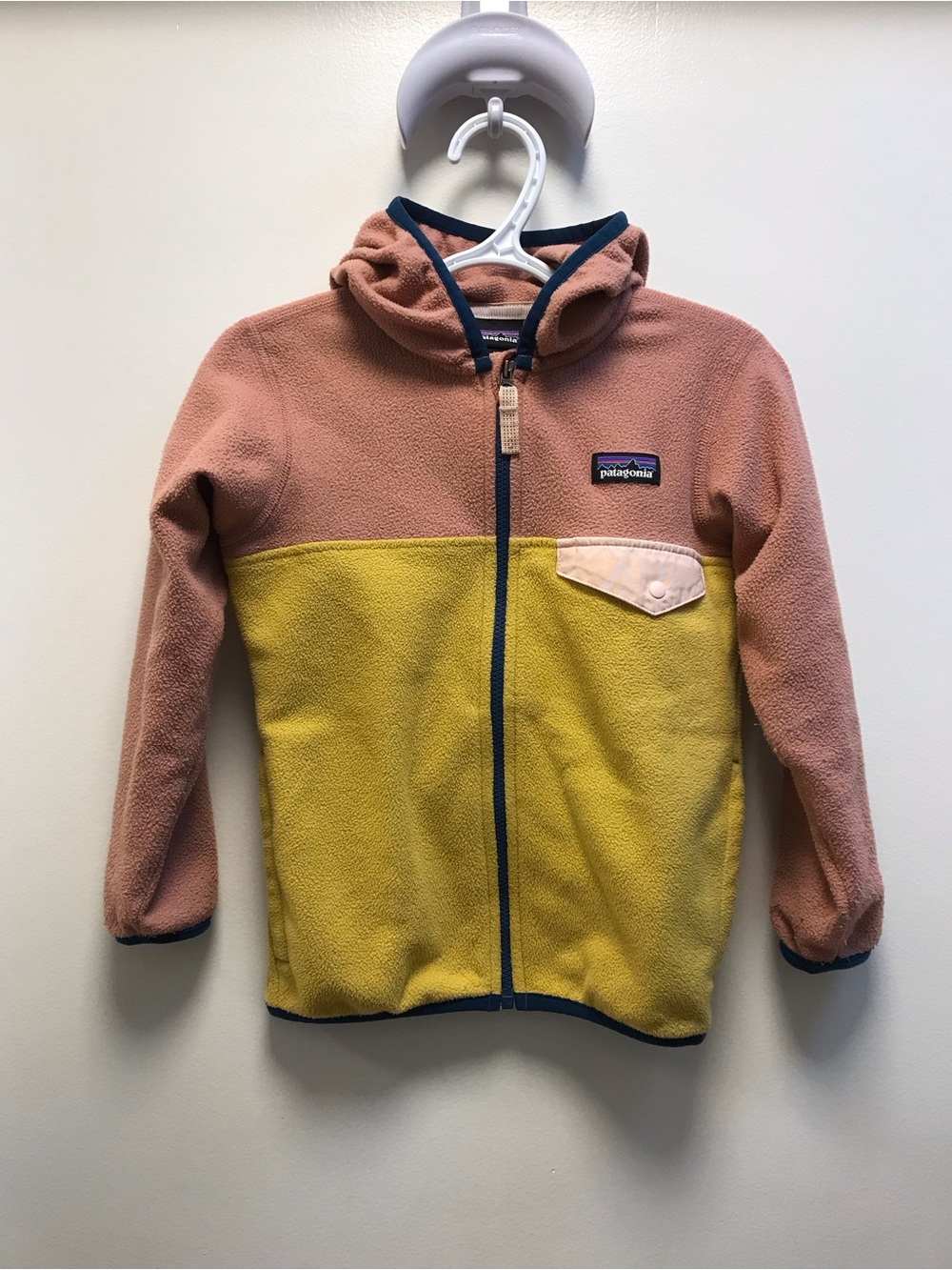 Patagonia Kids Micro-D Snap T Fleece 4T